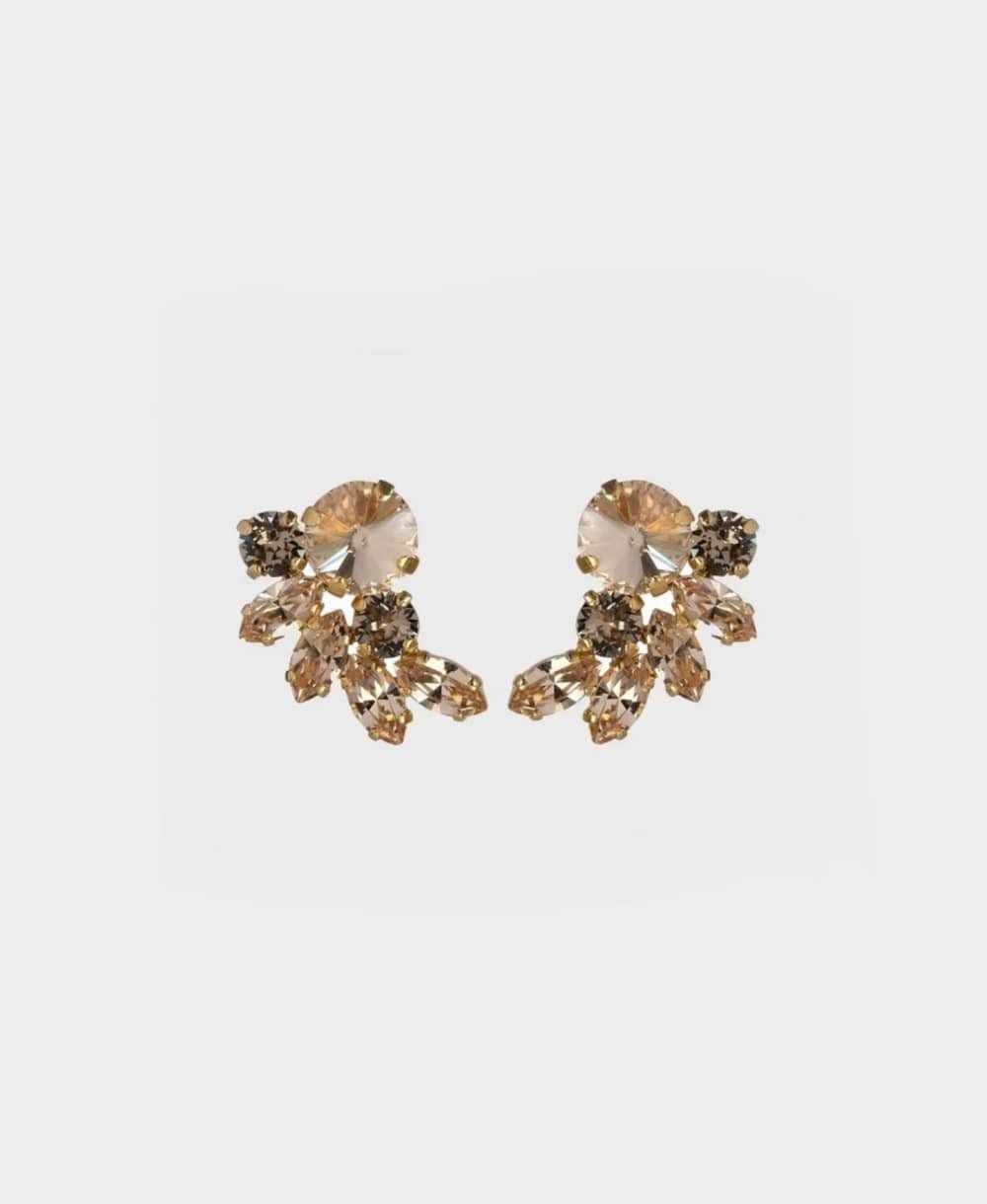 Earrings new